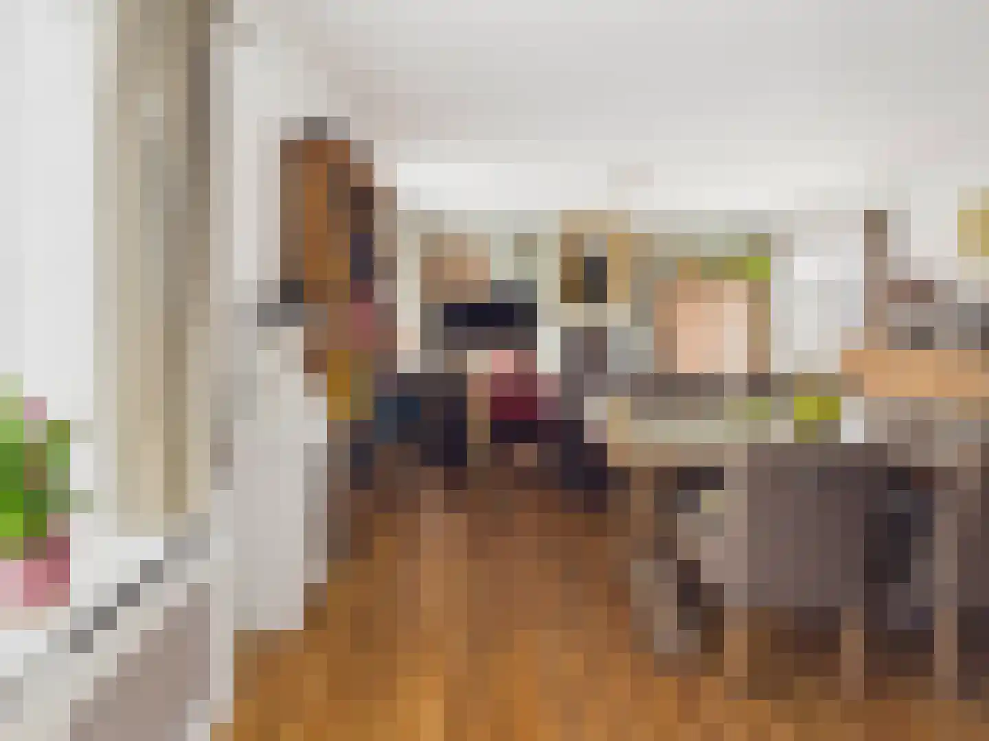 Oosterstraat 21 Dinteloord thumbnail 40