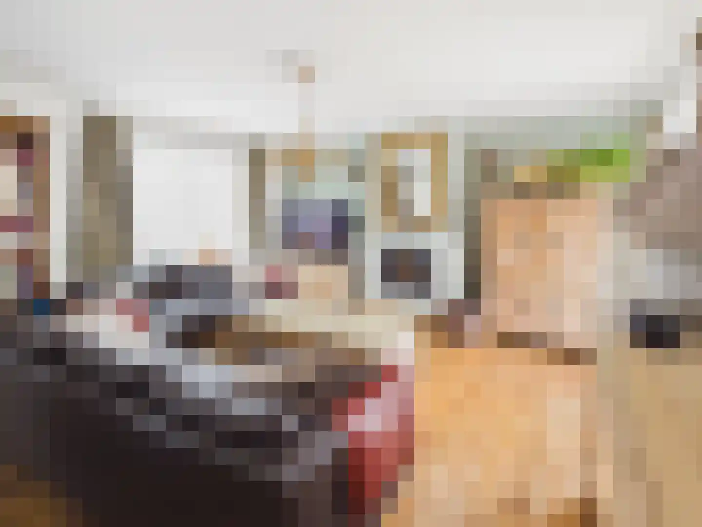 Oosterstraat 21 Dinteloord thumbnail 44