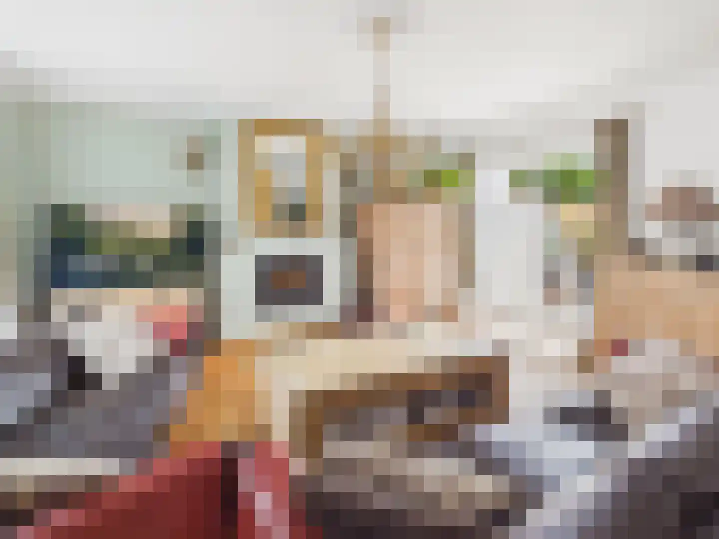 Oosterstraat 21 Dinteloord thumbnail 45