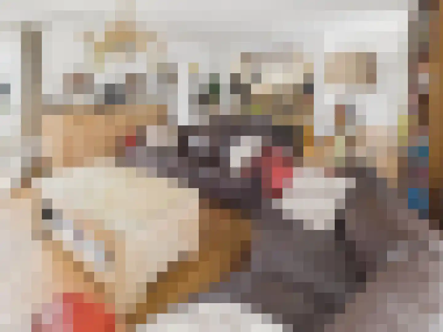 Oosterstraat 21 Dinteloord thumbnail 48