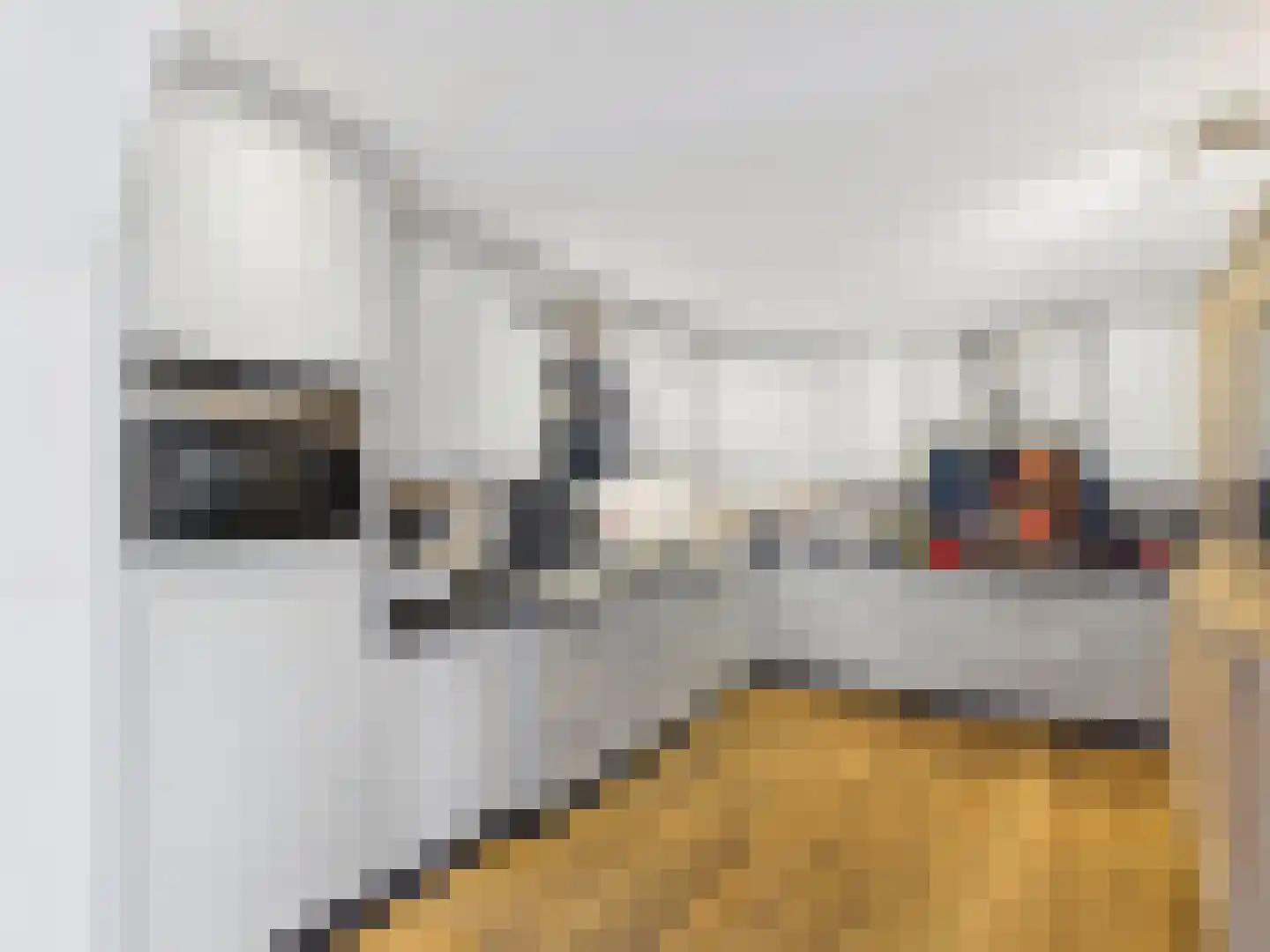 Oosterstraat 21 Dinteloord thumbnail 49