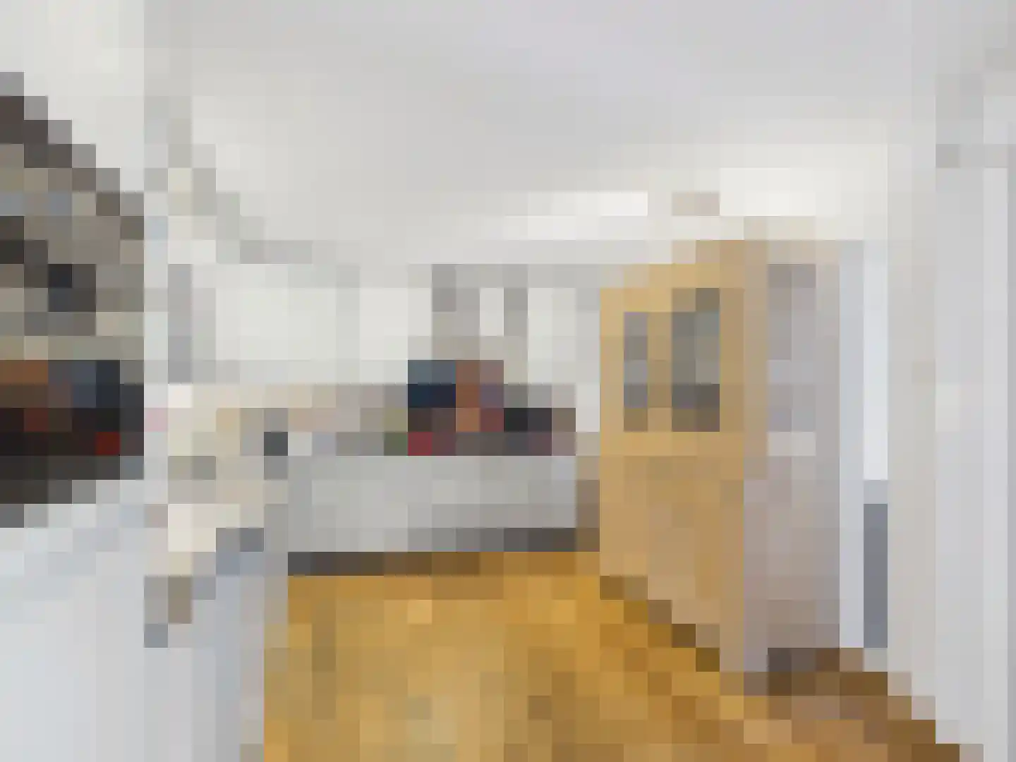 Oosterstraat 21 Dinteloord thumbnail 50