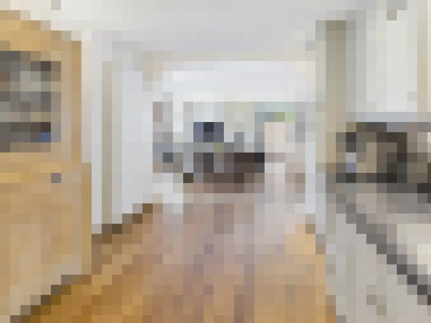 Oosterstraat 21 Dinteloord thumbnail 51
