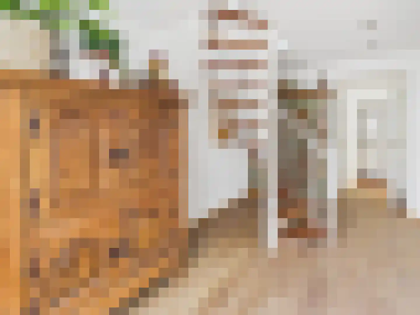 Oosterstraat 21 Dinteloord thumbnail 52