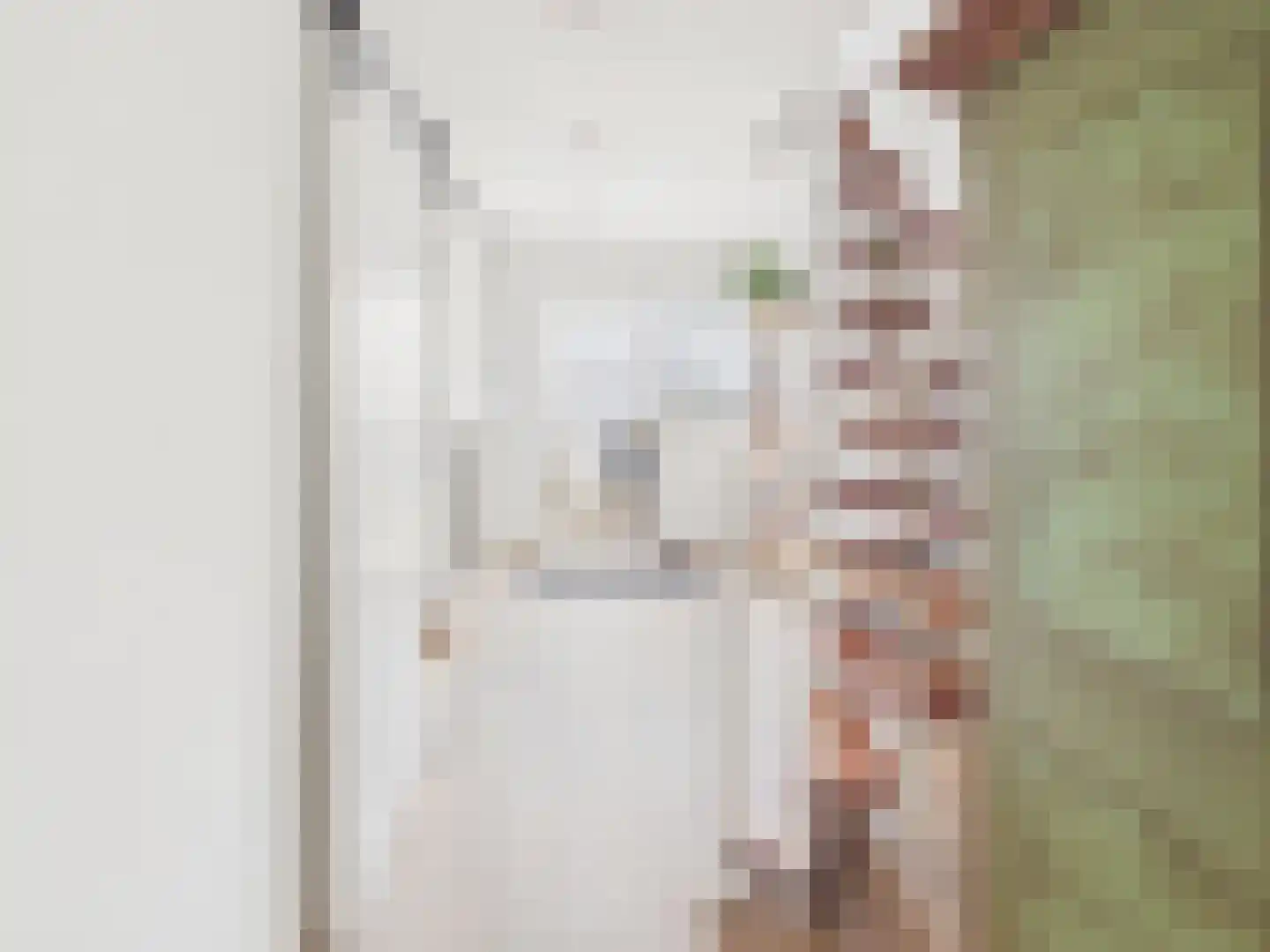 Oosterstraat 21 Dinteloord thumbnail 54