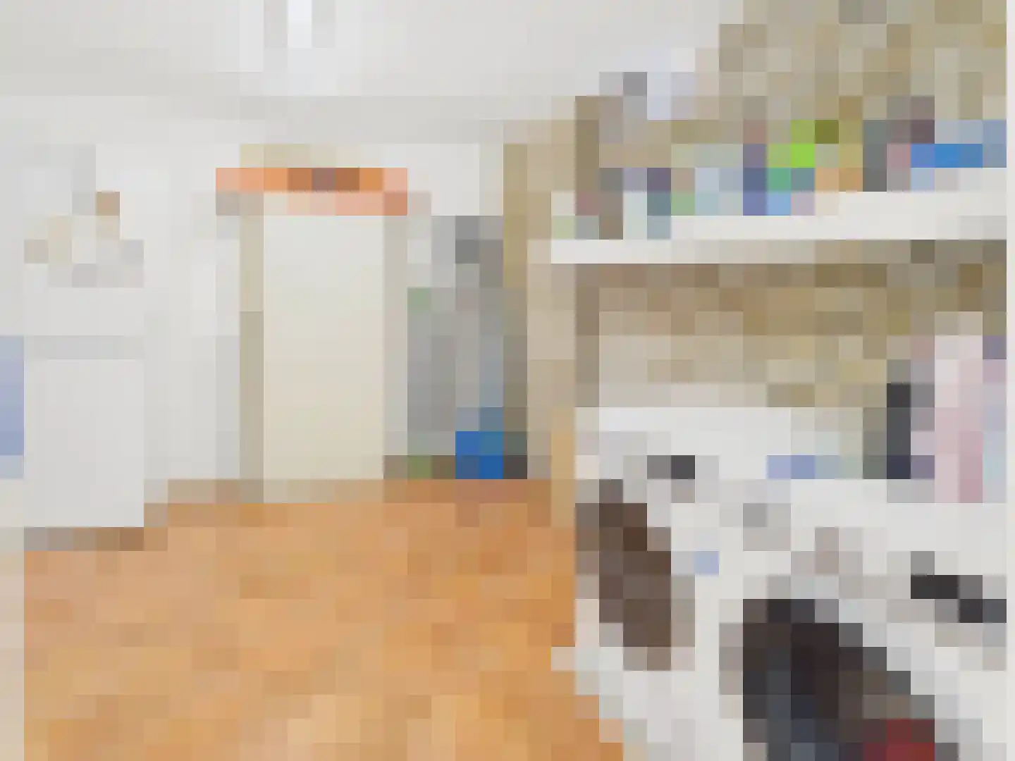 Oosterstraat 21 Dinteloord thumbnail 58