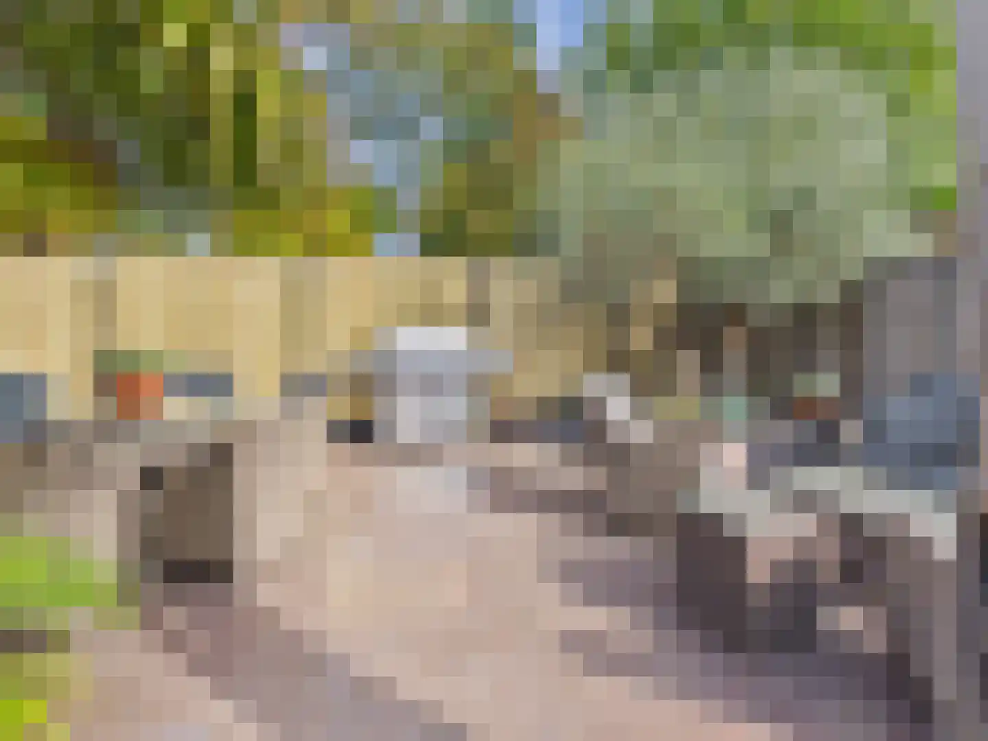Oosterstraat 21 Dinteloord thumbnail 6