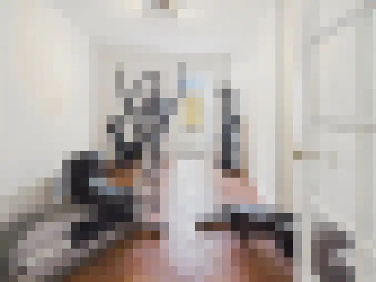 Oosterstraat 21 Dinteloord thumbnail 61