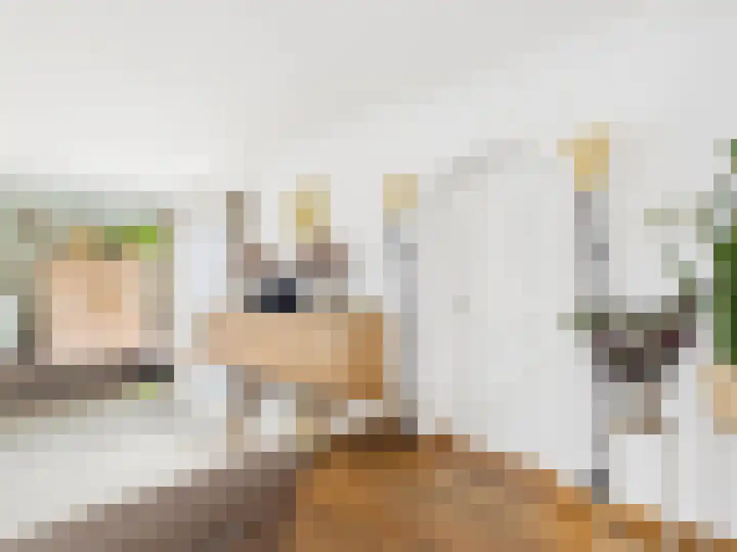 Oosterstraat 21 Dinteloord thumbnail 62