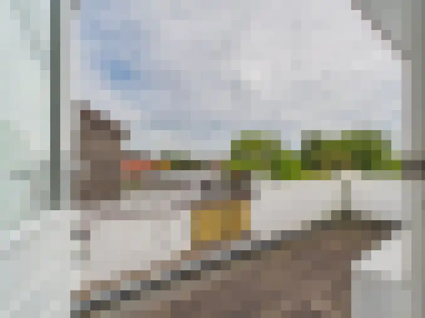Oosterstraat 21 Dinteloord thumbnail 65