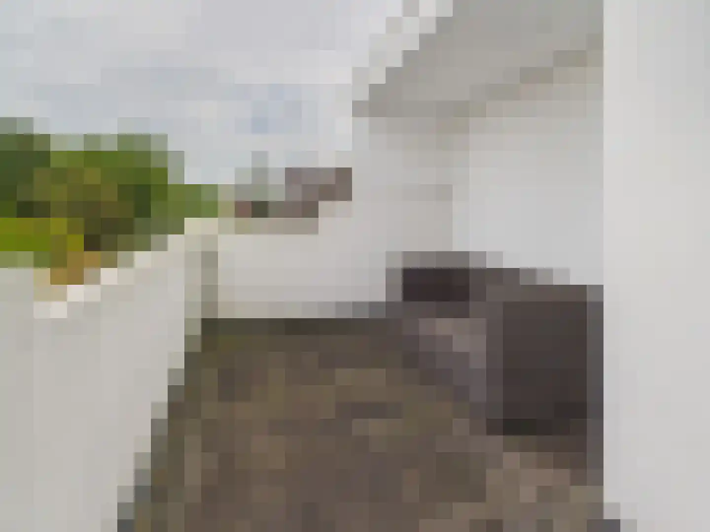 Oosterstraat 21 Dinteloord thumbnail 67