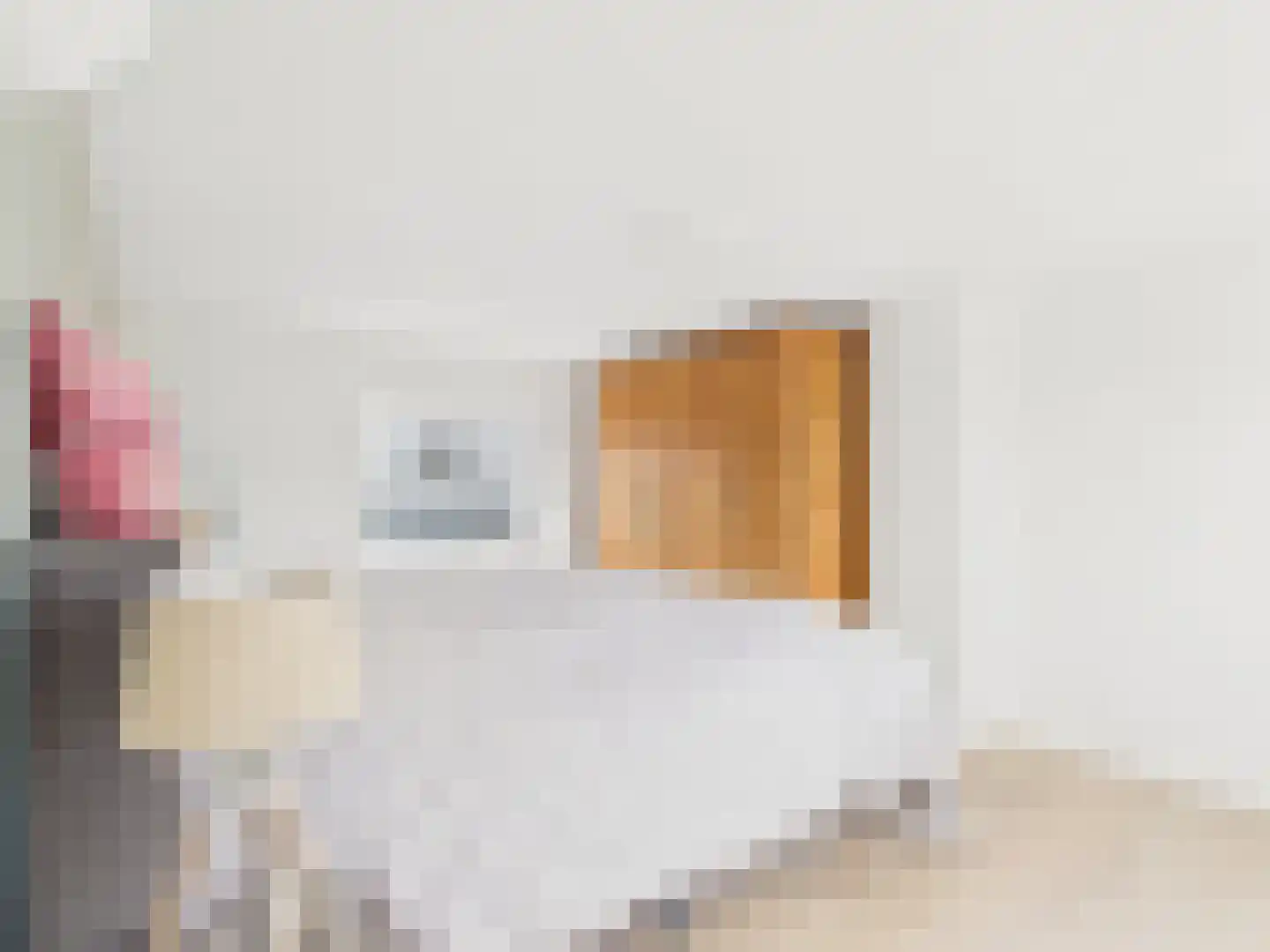 Oosterstraat 21 Dinteloord thumbnail 68