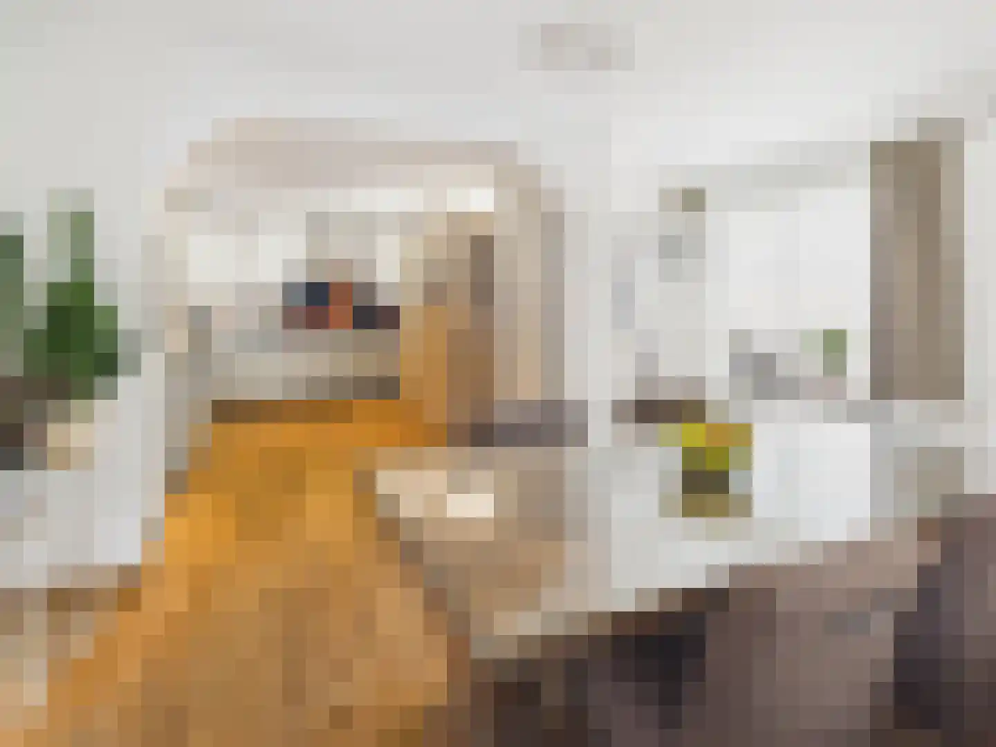 Oosterstraat 21 Dinteloord thumbnail 7
