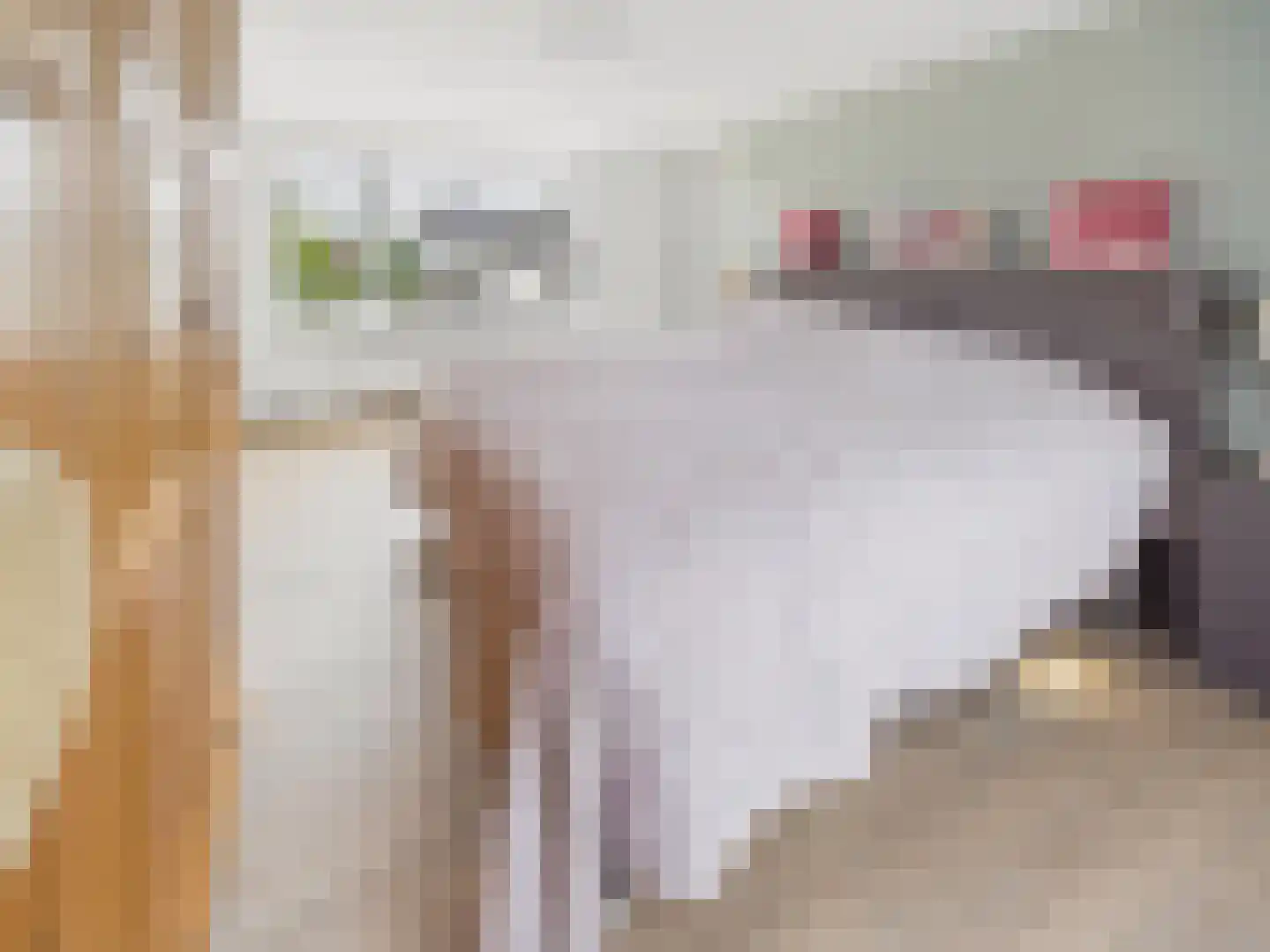 Oosterstraat 21 Dinteloord thumbnail 70