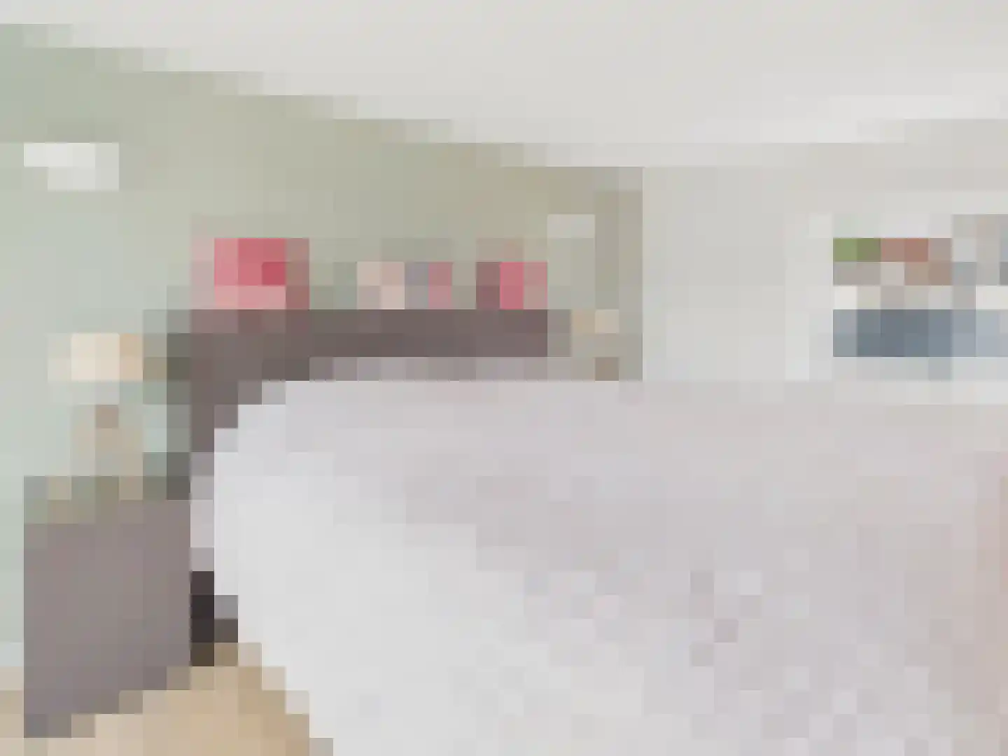 Oosterstraat 21 Dinteloord thumbnail 71