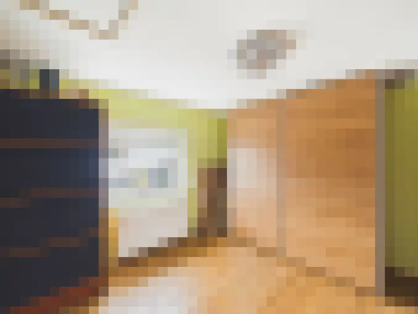 Oosterstraat 21 Dinteloord thumbnail 73