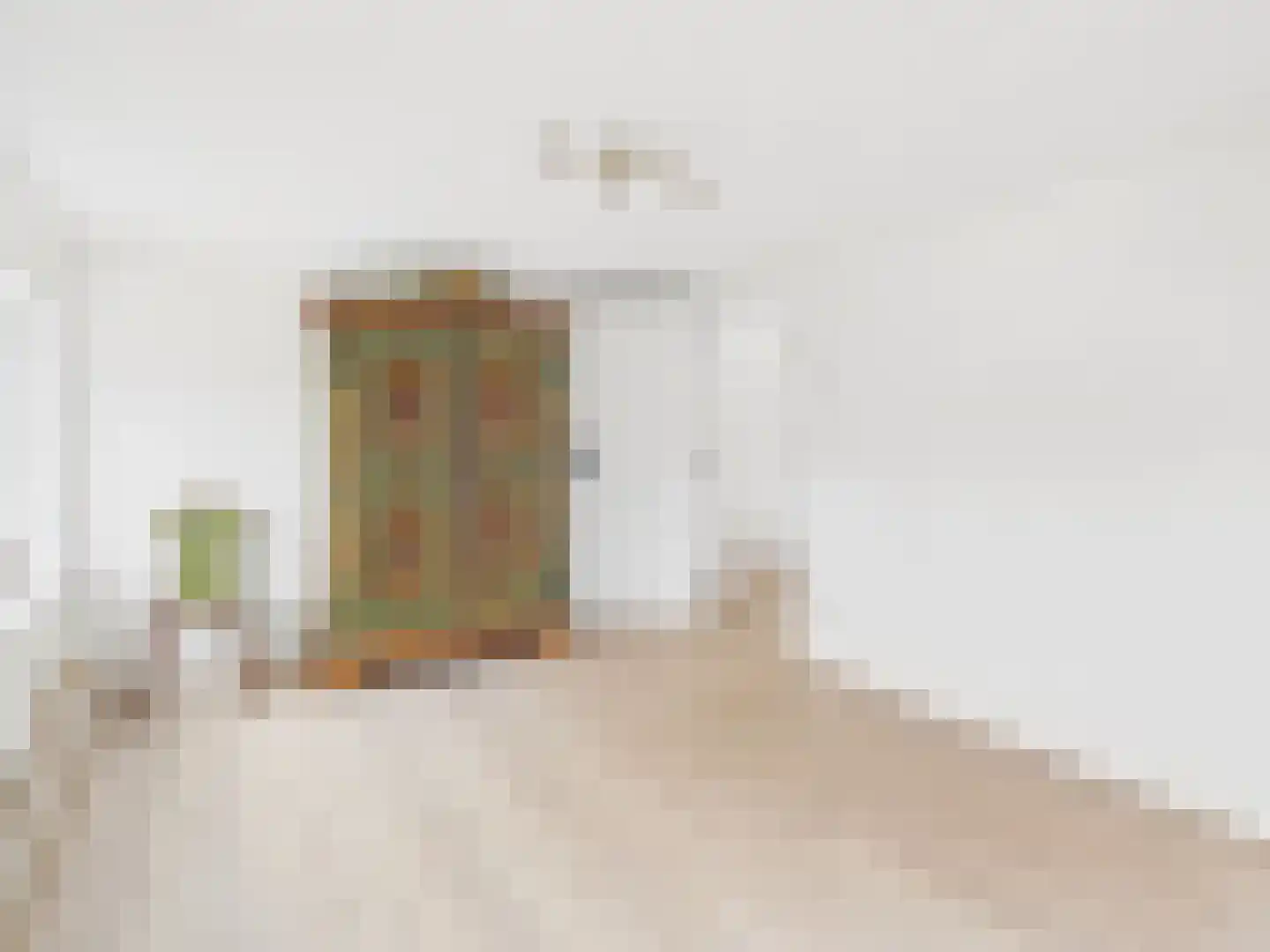 Oosterstraat 21 Dinteloord thumbnail 76