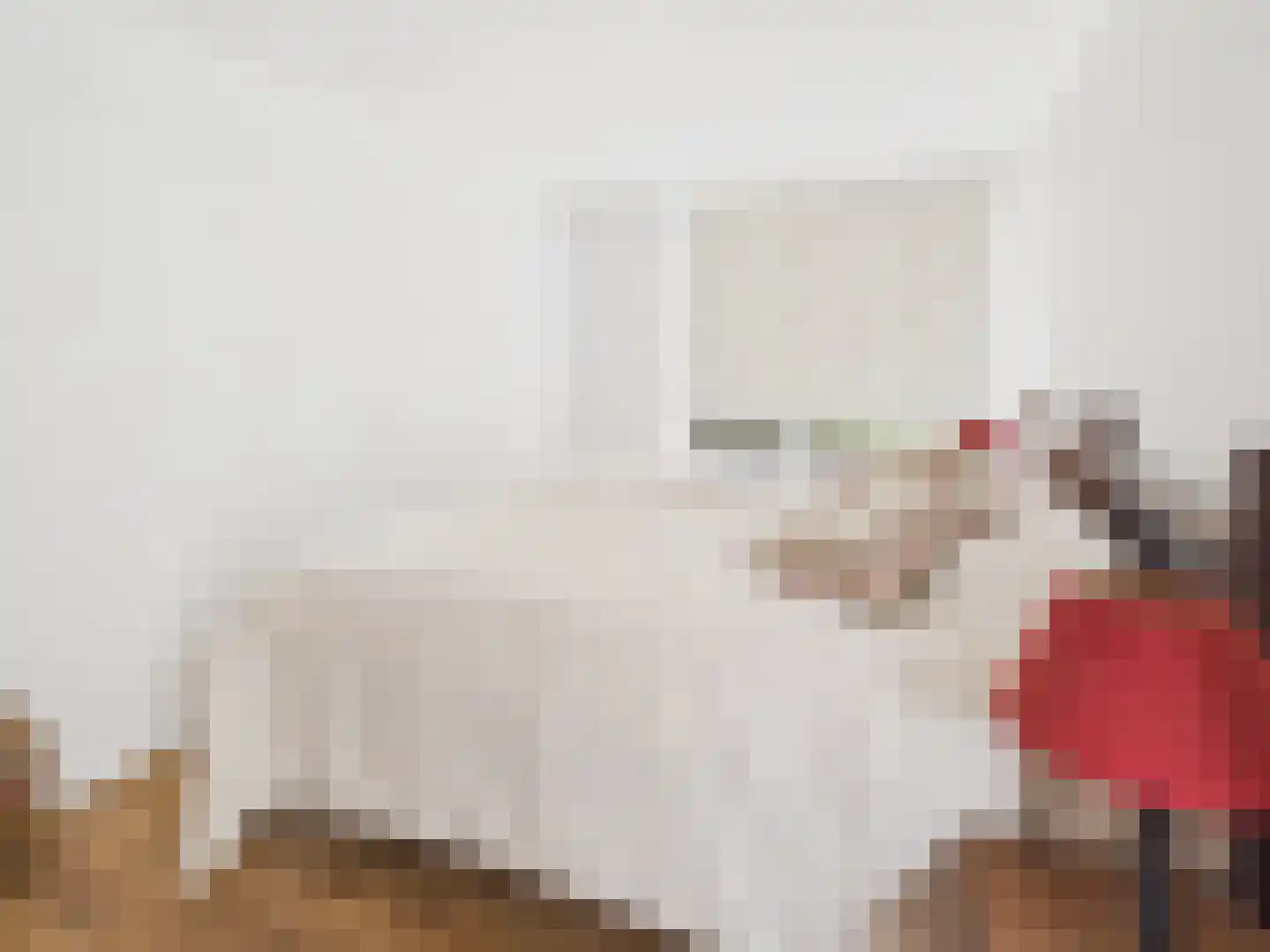 Oosterstraat 21 Dinteloord thumbnail 79