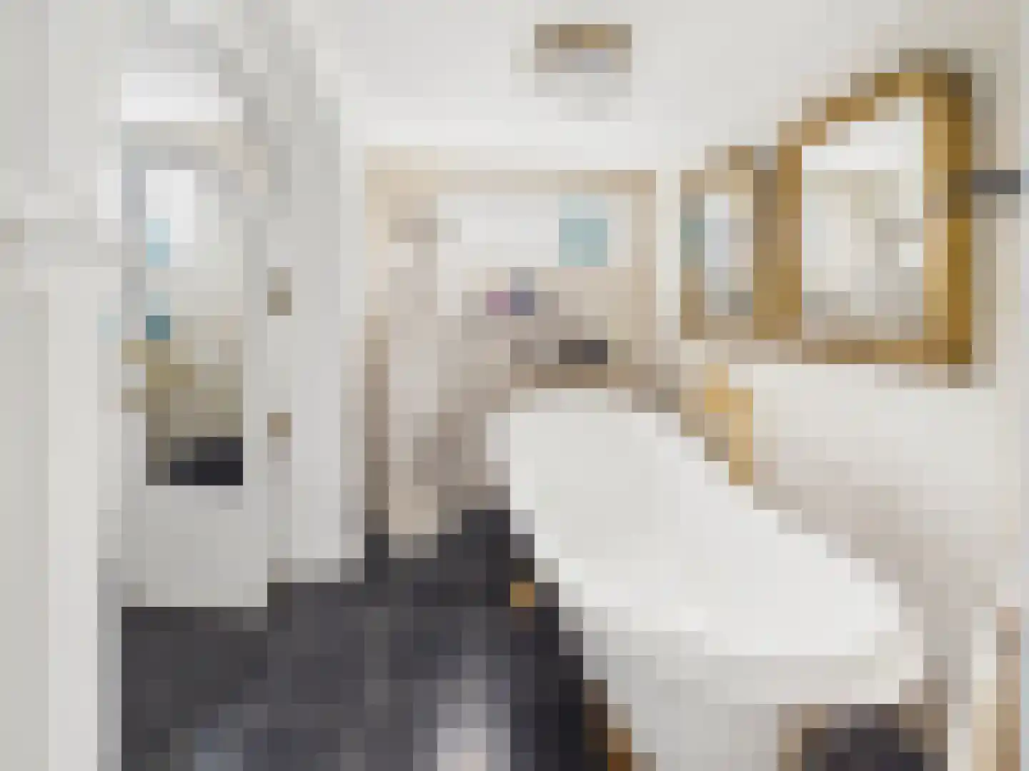 Oosterstraat 21 Dinteloord thumbnail 82