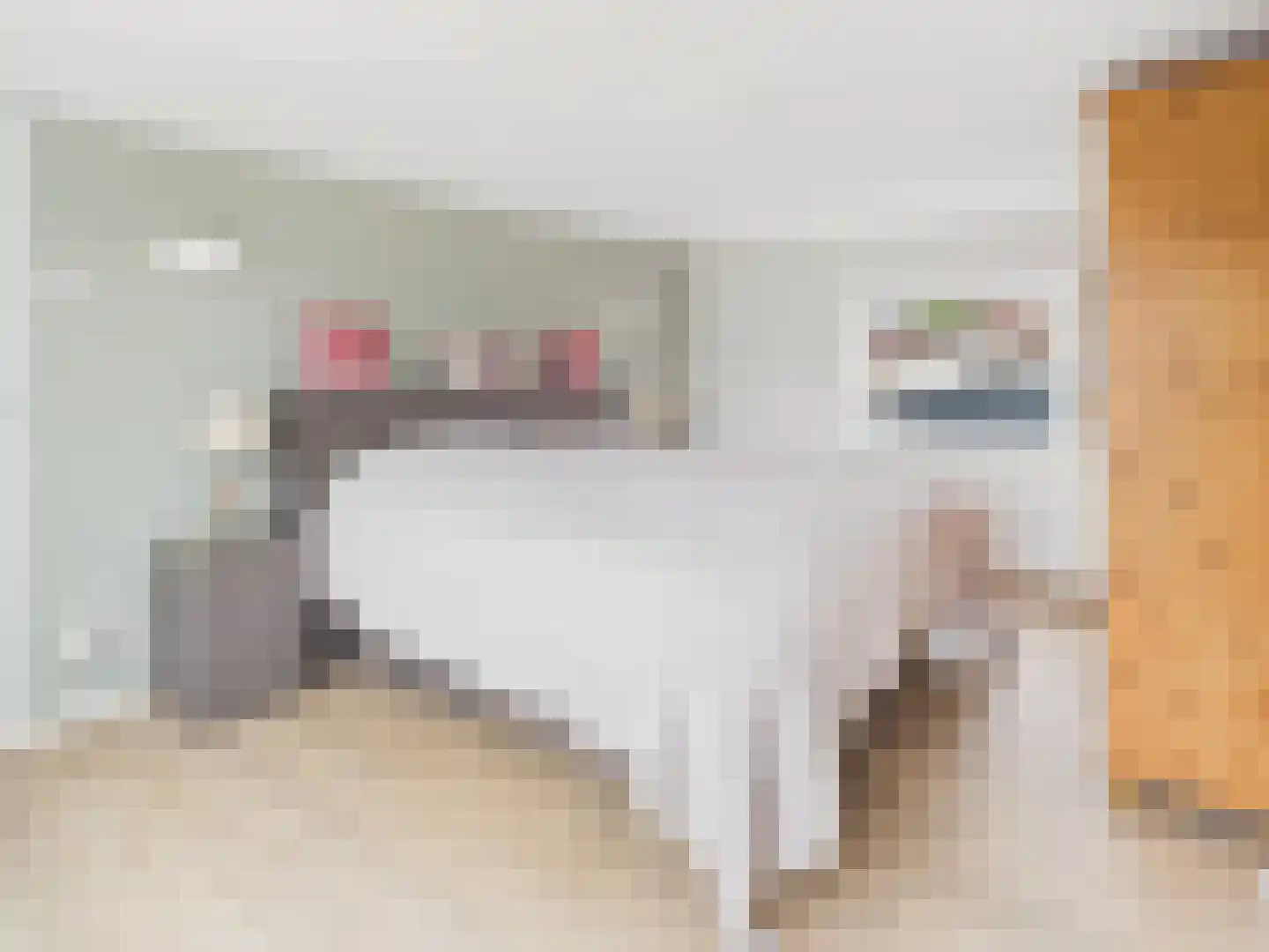 Oosterstraat 21 Dinteloord thumbnail 9