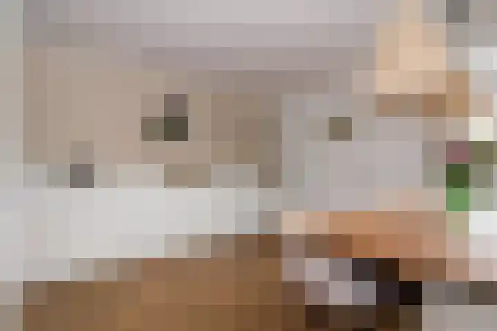 Oosterstraat 24 Bunschoten-Spakenburg thumbnail 9