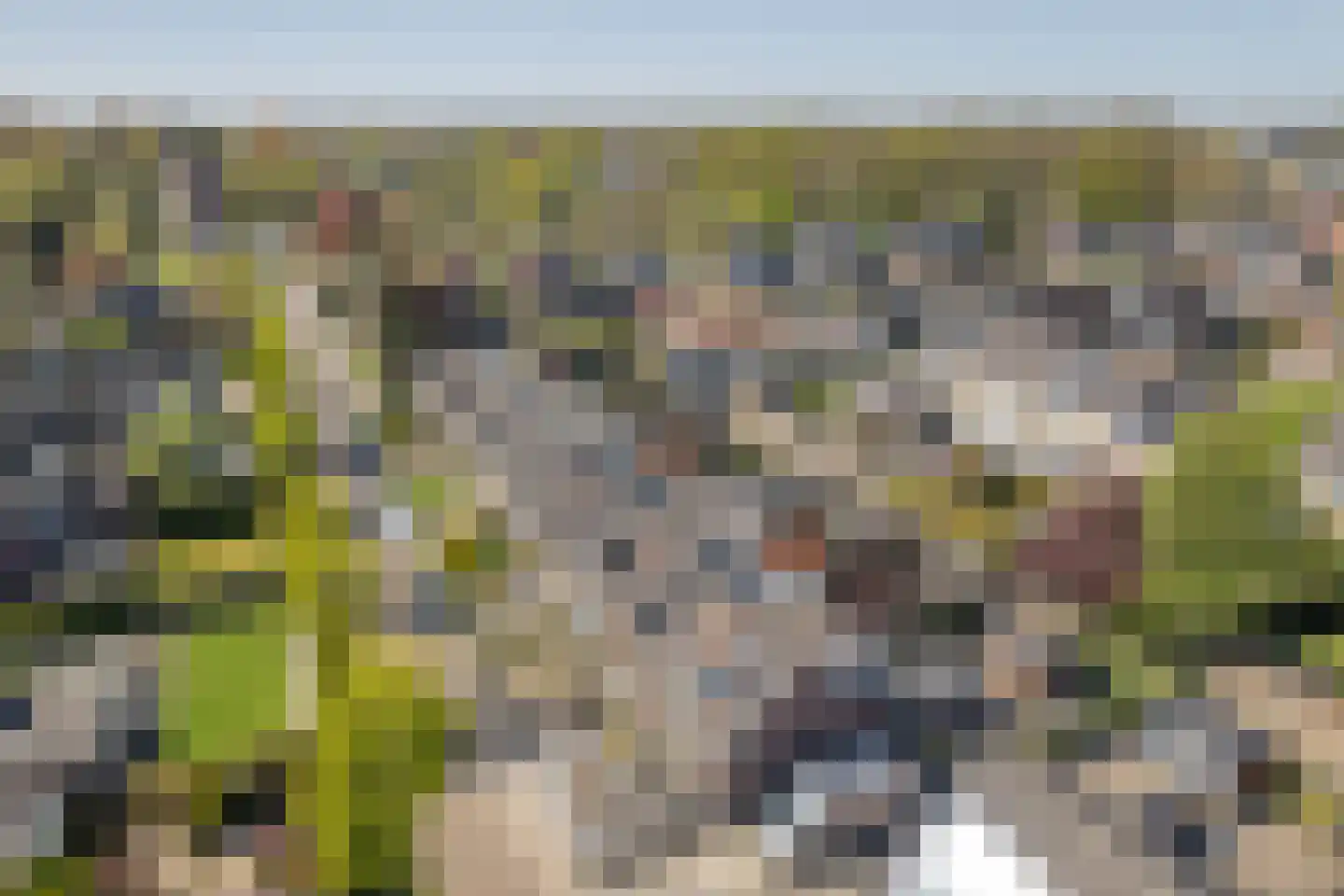 Oosterstraat 25 Joure thumbnail 28