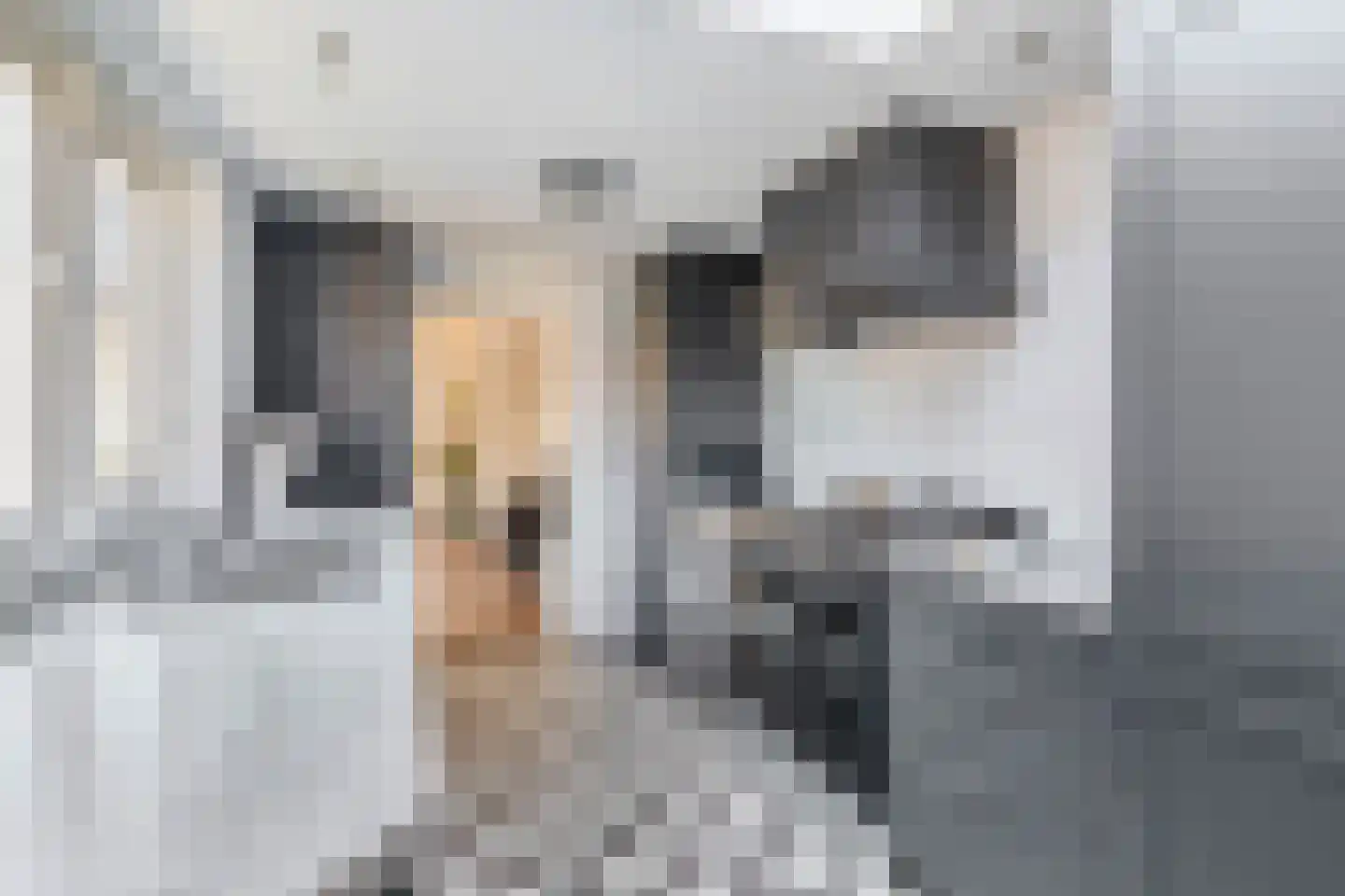 Oosterstraat 25 Krimpen aan den IJssel thumbnail 15