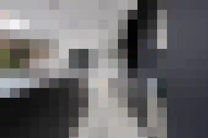 Oosterstraat 26 Emmen thumbnail 15