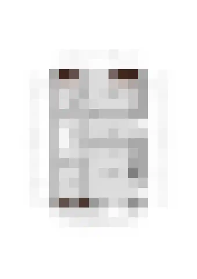 Oosterstraat 27 Harlingen thumbnail 34