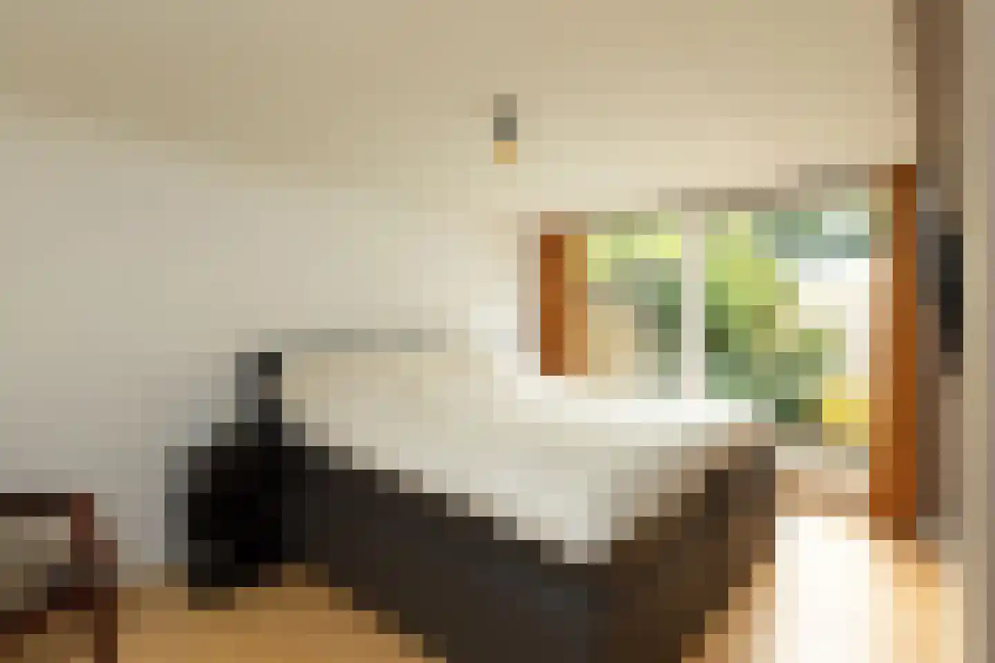 Oosterstraat 28 Baarn thumbnail 21