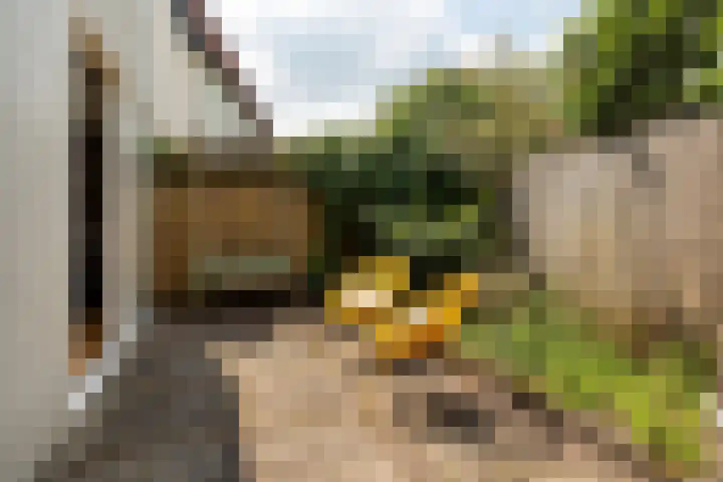 Oosterstraat 28 Baarn thumbnail 22