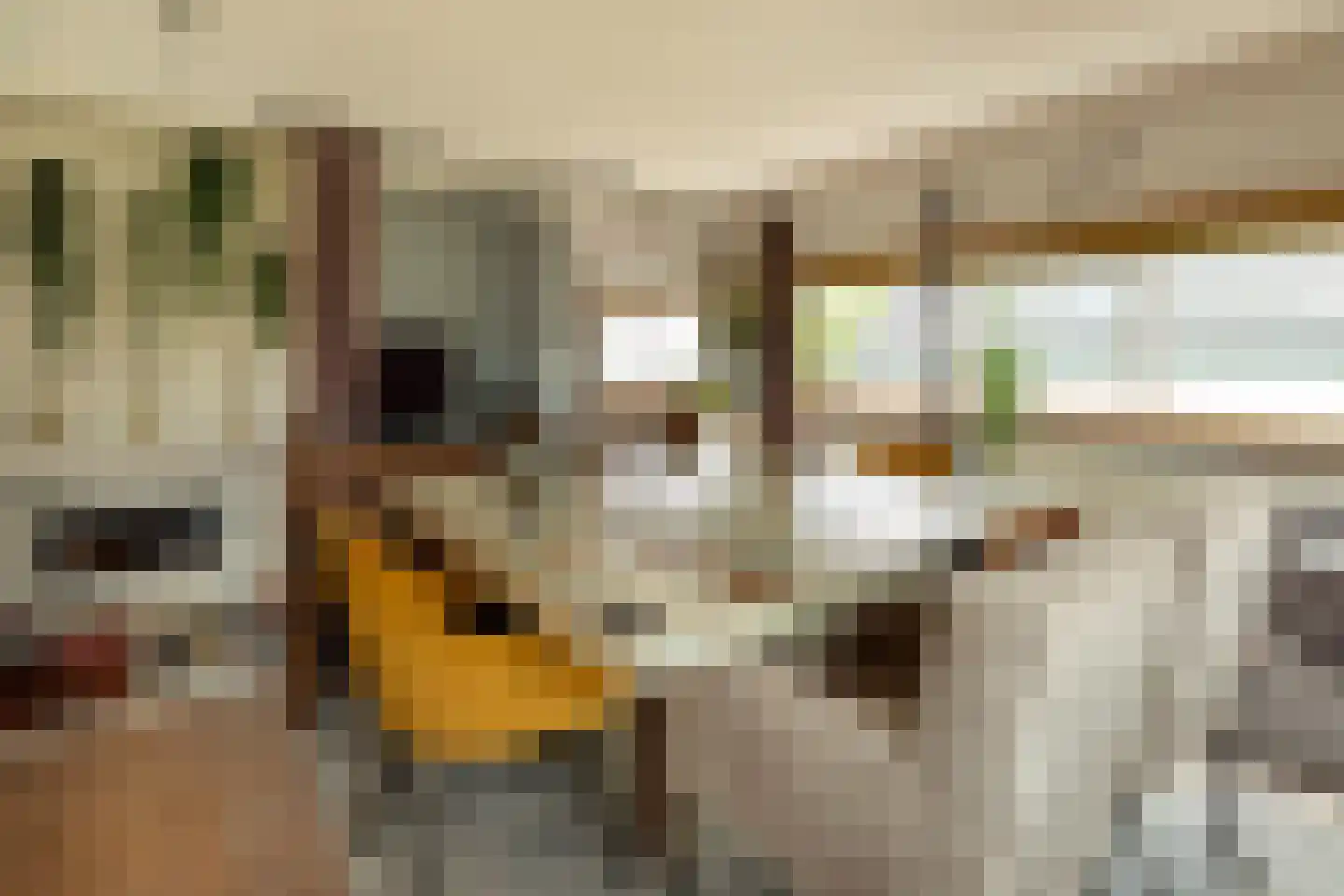 Oosterstraat 28 Baarn thumbnail 9