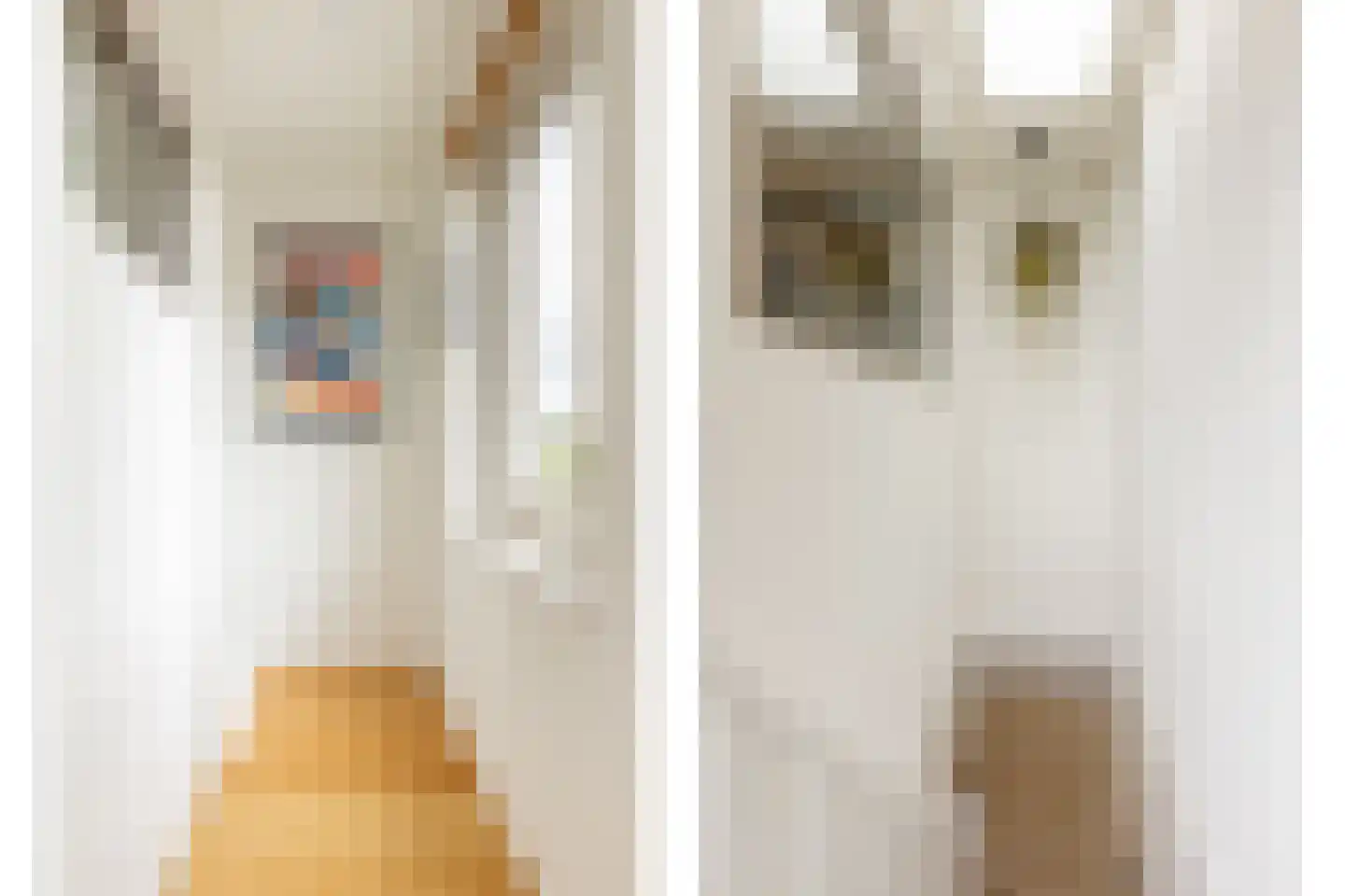 Oosterstraat 29 Haarlem thumbnail 24