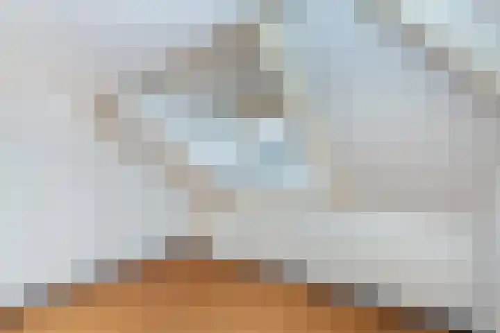 Oosterstraat 32 Vlaardingen thumbnail 31