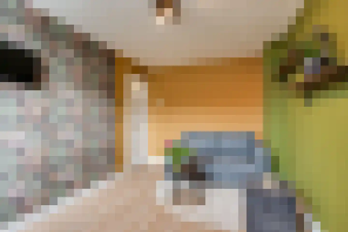 Oosterstraat 39 Baarn thumbnail 22