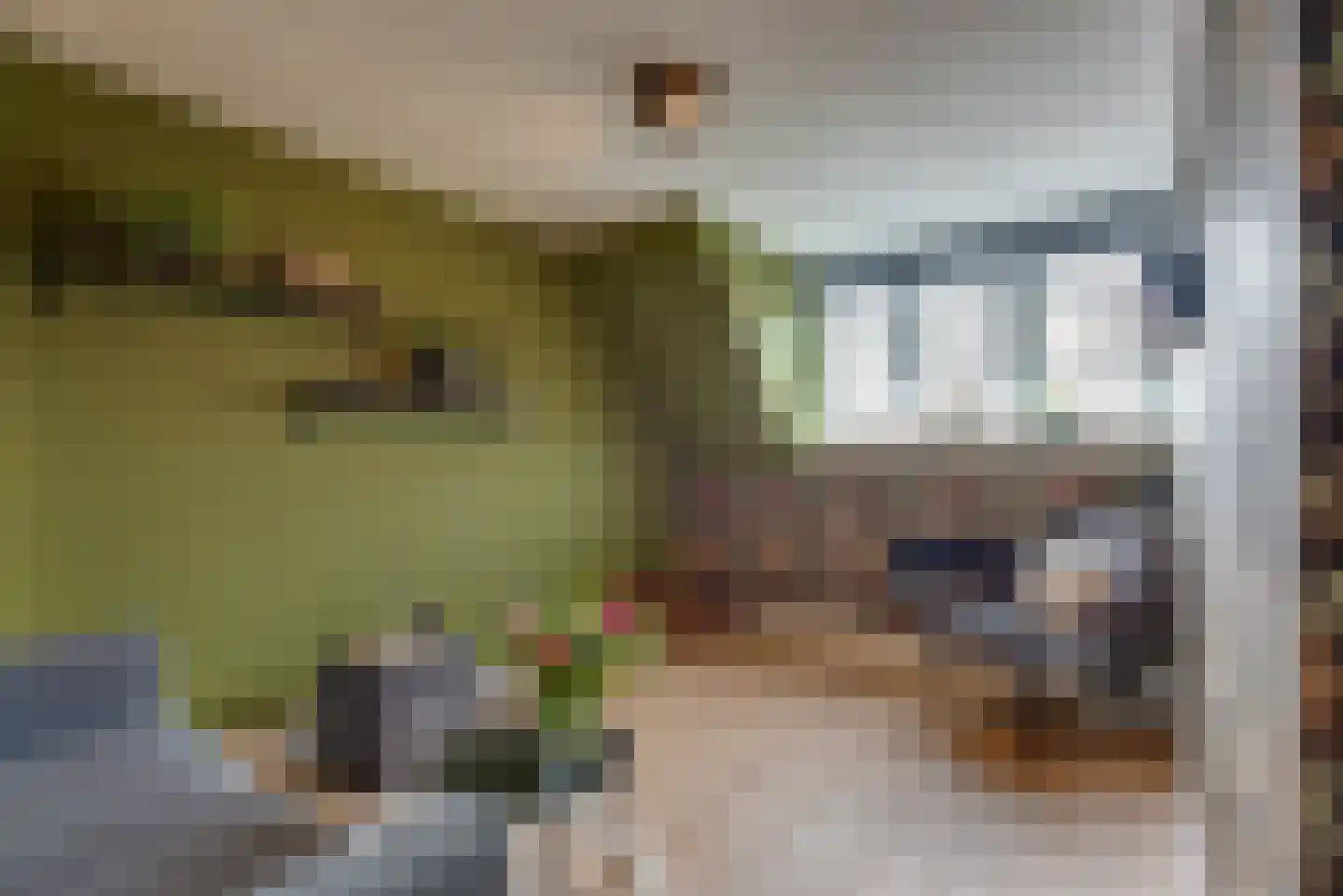 Oosterstraat 39 Baarn thumbnail 24