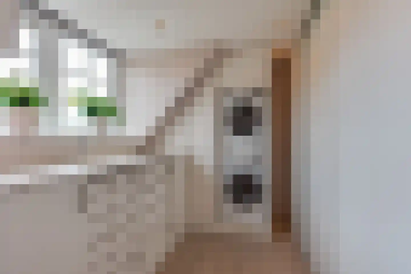 Oosterstraat 39 Baarn thumbnail 25