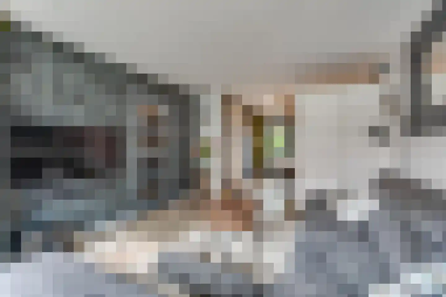 Oosterstraat 39 Baarn thumbnail 9