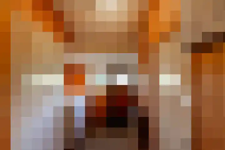Oosterstraat 4 Donderen thumbnail 20