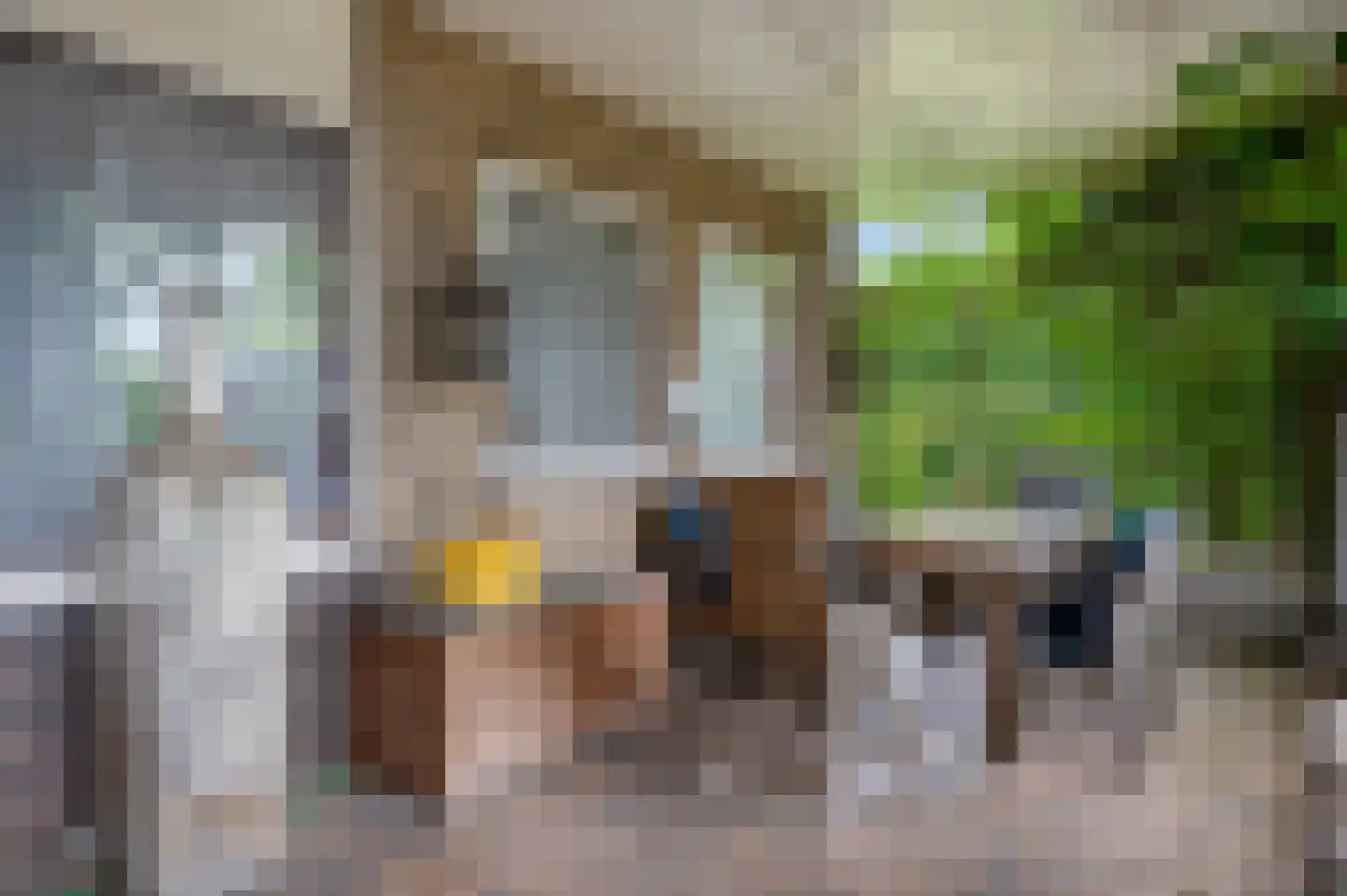 Oosterstraat 4 Noordbroek thumbnail 25