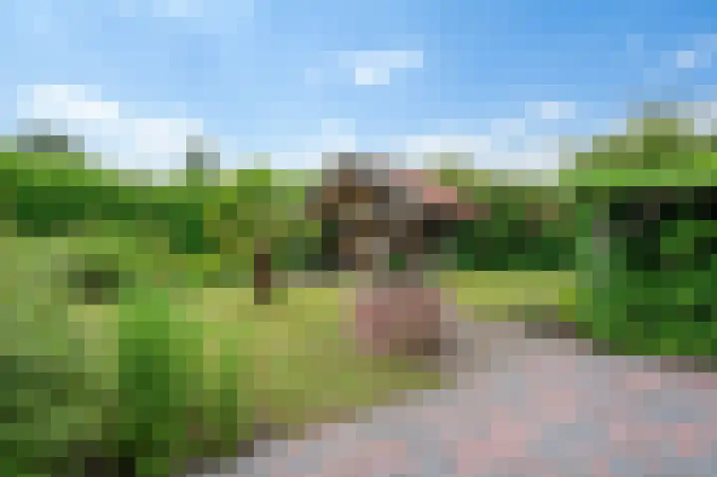 Oosterstraat 4 Noordbroek thumbnail 34