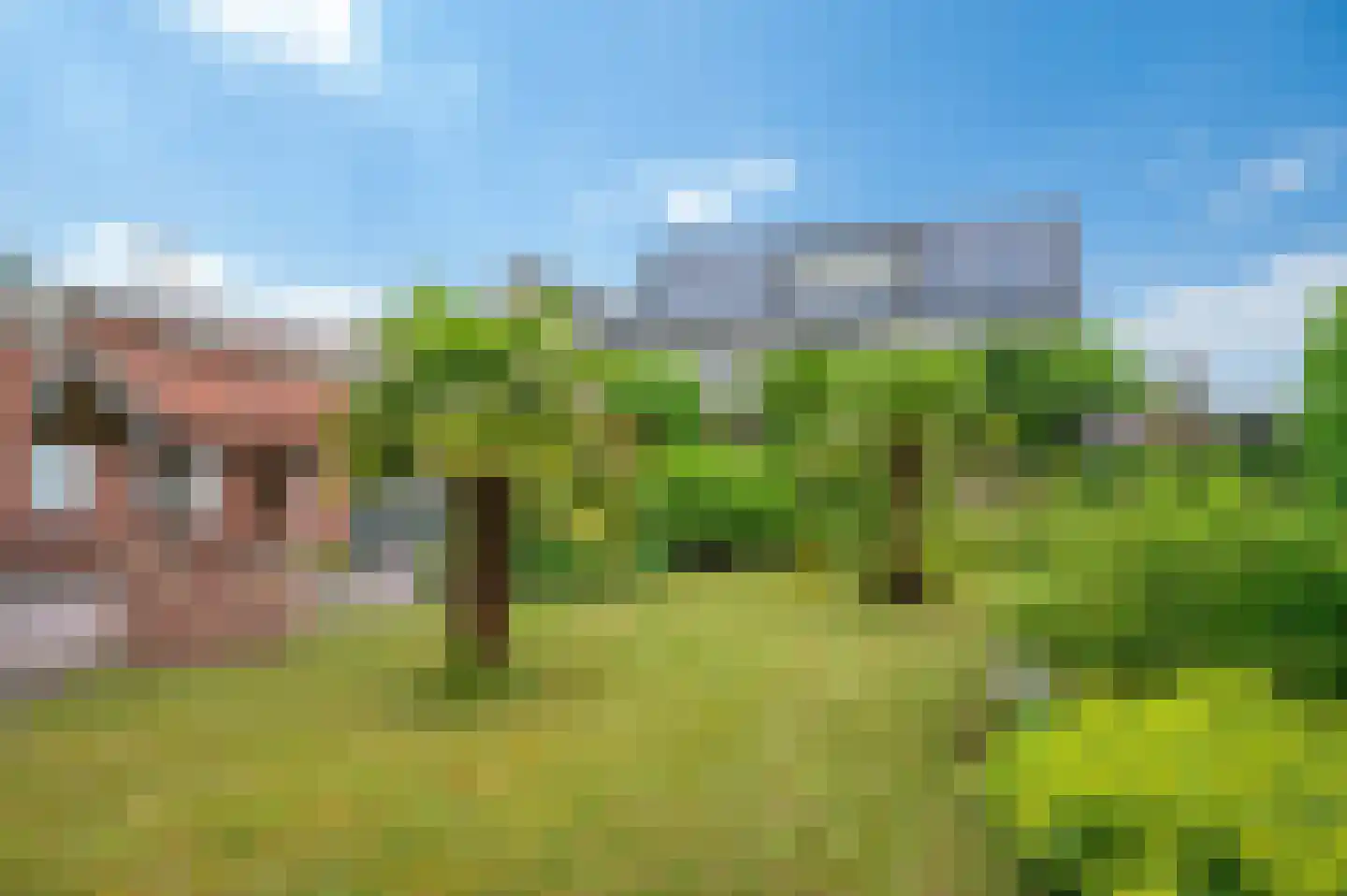 Oosterstraat 4 Noordbroek thumbnail 40