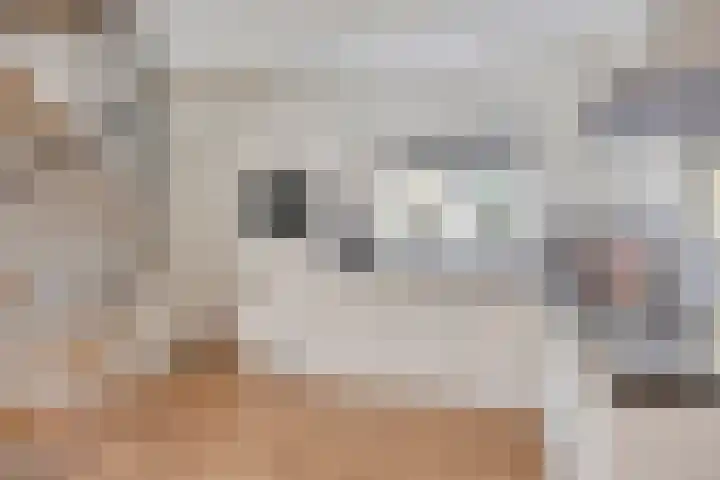 Oosterstraat 4 Warffum thumbnail 18