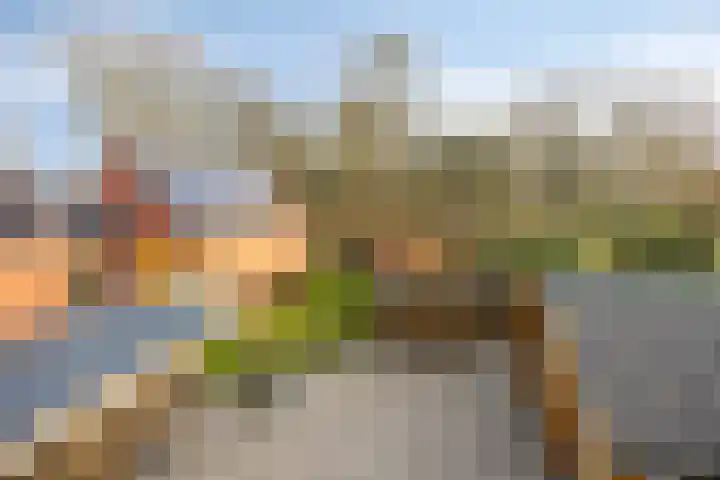Oosterstraat 4 Warffum thumbnail 41