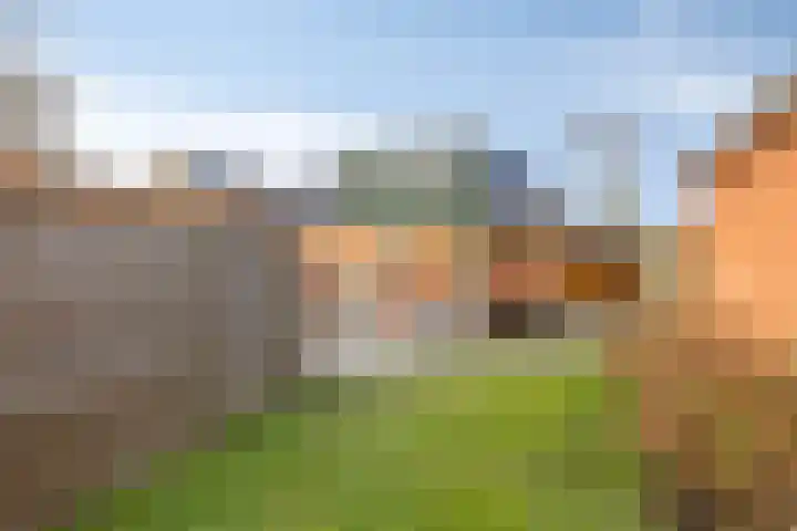 Oosterstraat 4 Warffum thumbnail 45