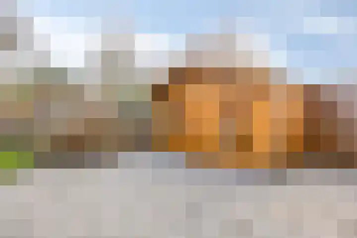 Oosterstraat 4 Warffum thumbnail 48