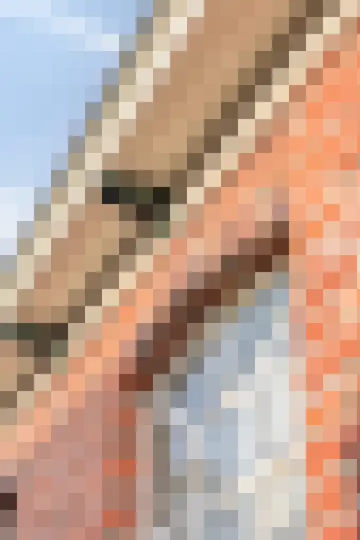 Oosterstraat 4 Warffum thumbnail 49