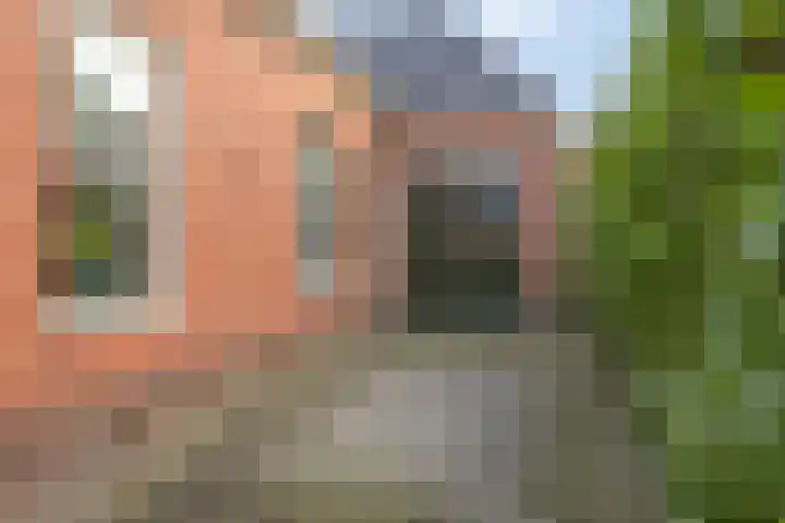Oosterstraat 4 Warffum thumbnail 7