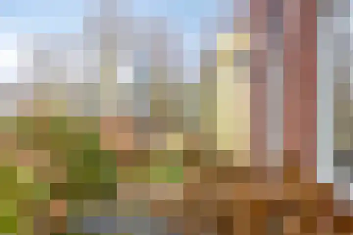 Oosterstraat 4 Warffum thumbnail 9