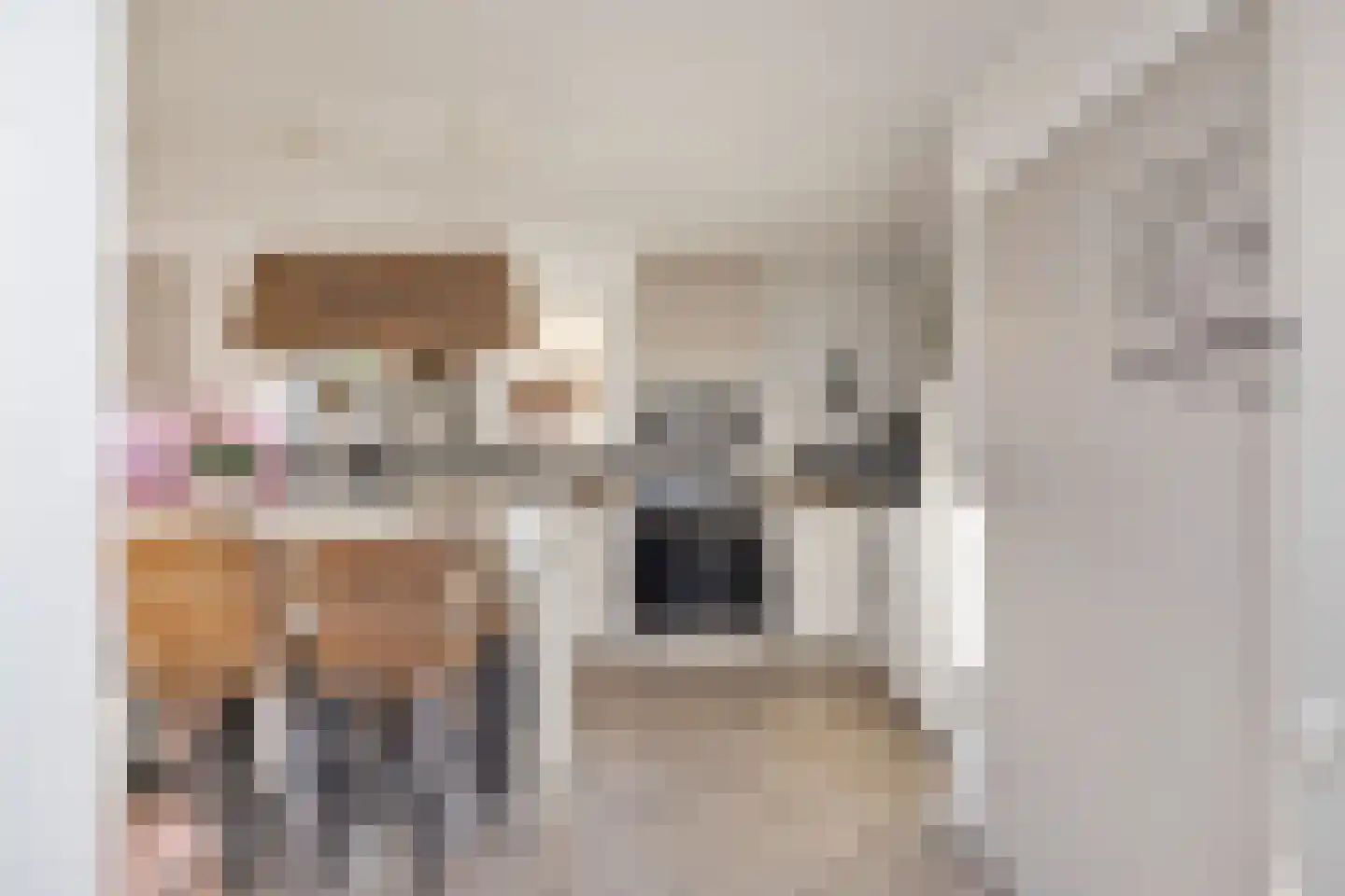 Oosterstraat 42 Ruinen thumbnail 10